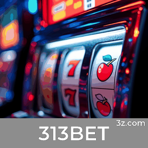 313BET: Plataforma de Apostas com Serviços Profissionais
